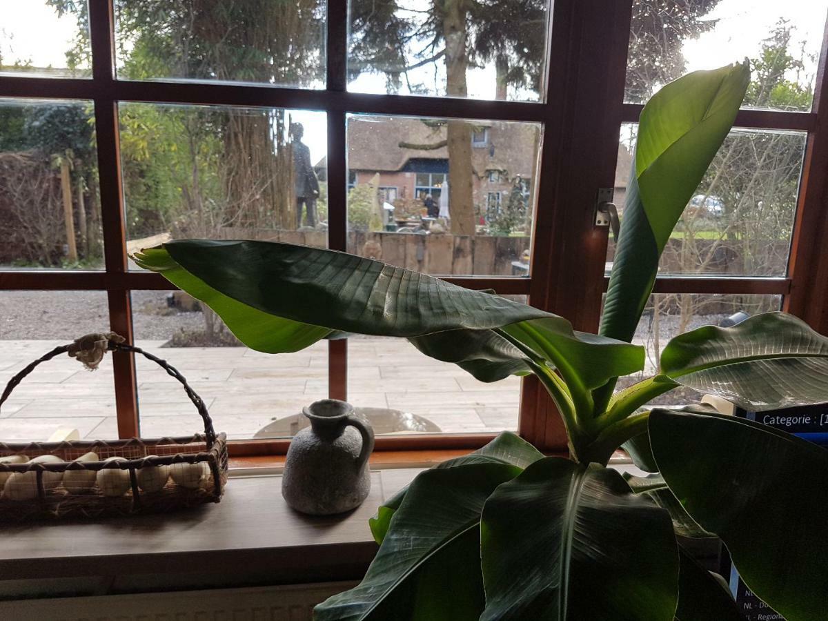 L'Amour Pur Schoorl Dış mekan fotoğraf