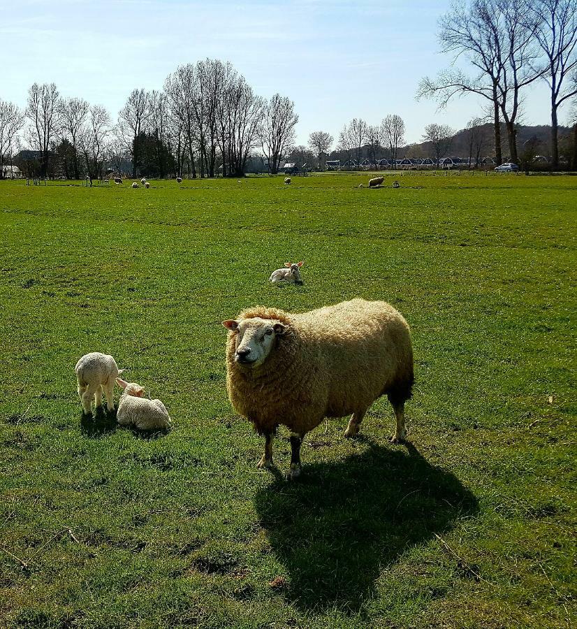 L'Amour Pur Schoorl Dış mekan fotoğraf