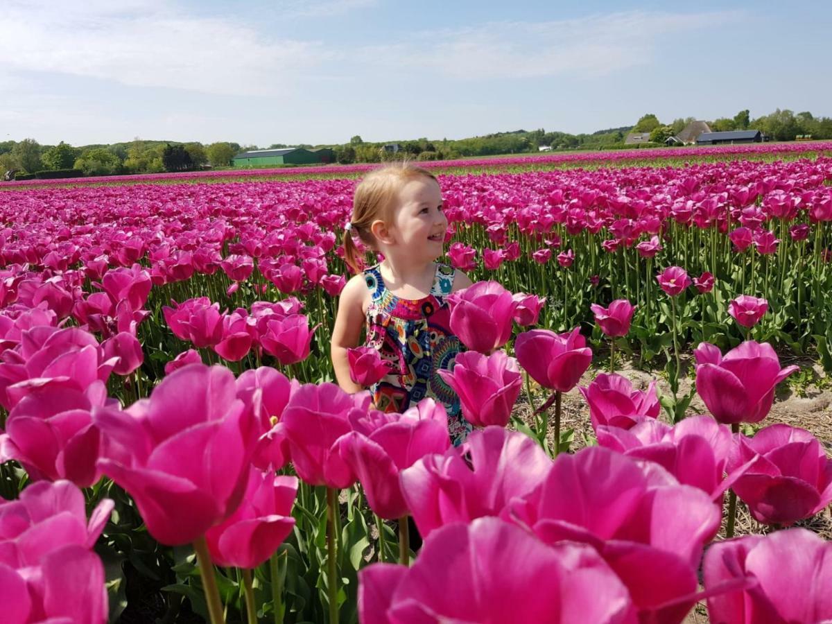 L'Amour Pur Schoorl Dış mekan fotoğraf