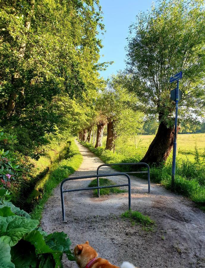 L'Amour Pur Schoorl Dış mekan fotoğraf